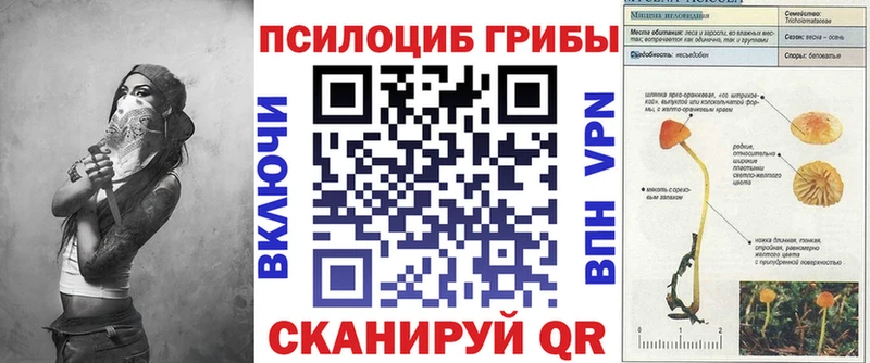 Галлюциногенные грибы мицелий  Миллерово 